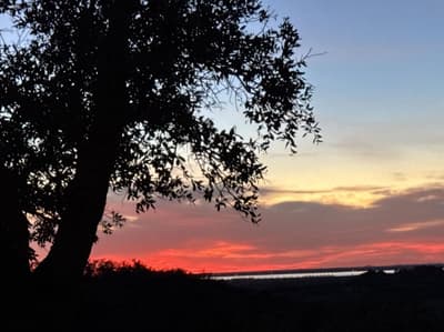 Rustic Sunset Wedding and Event Venue photo 3