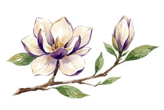 Wedding costs illustration