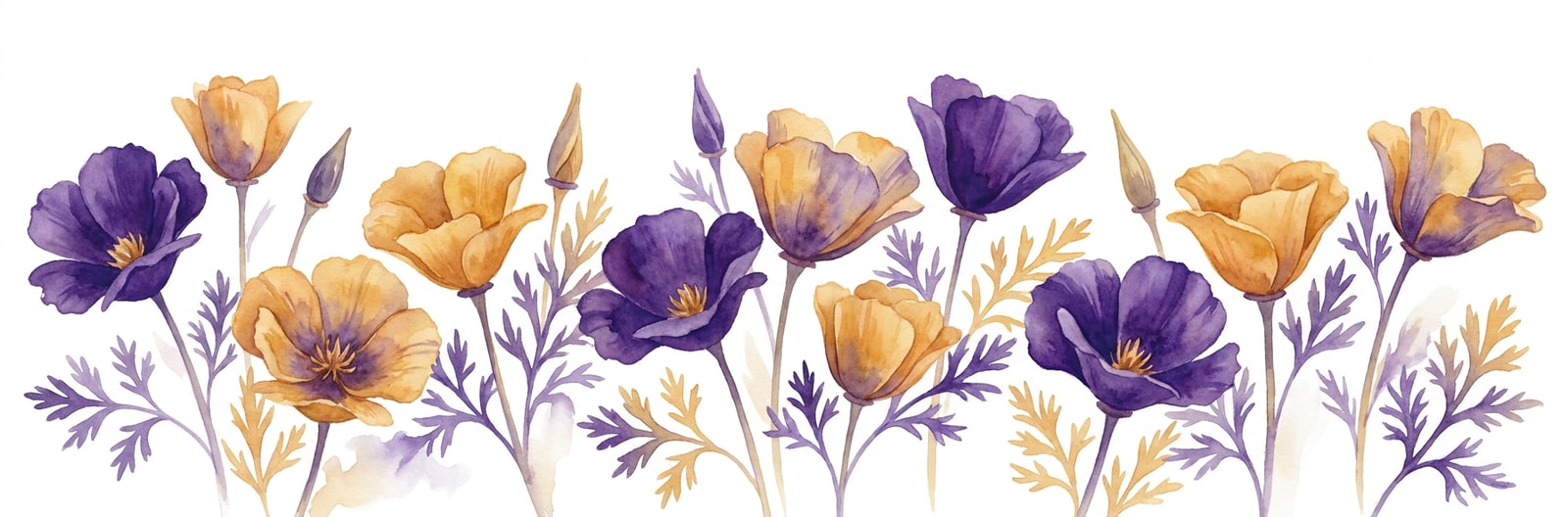 California state flower illustration