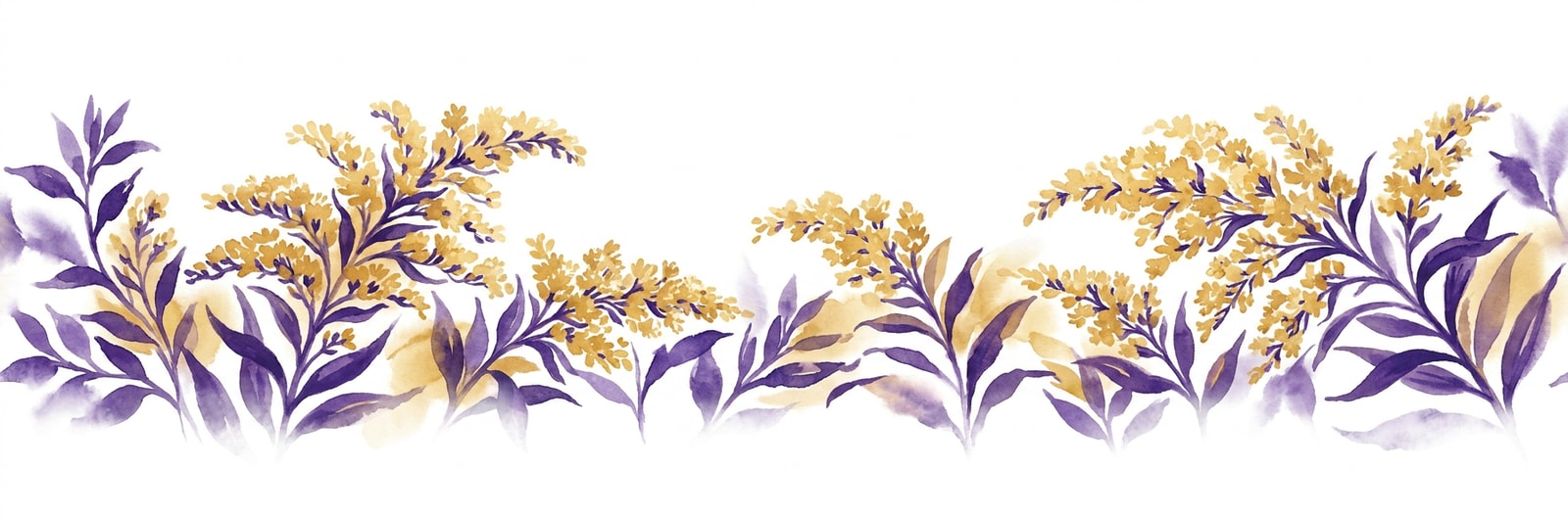 Kentucky state flower illustration