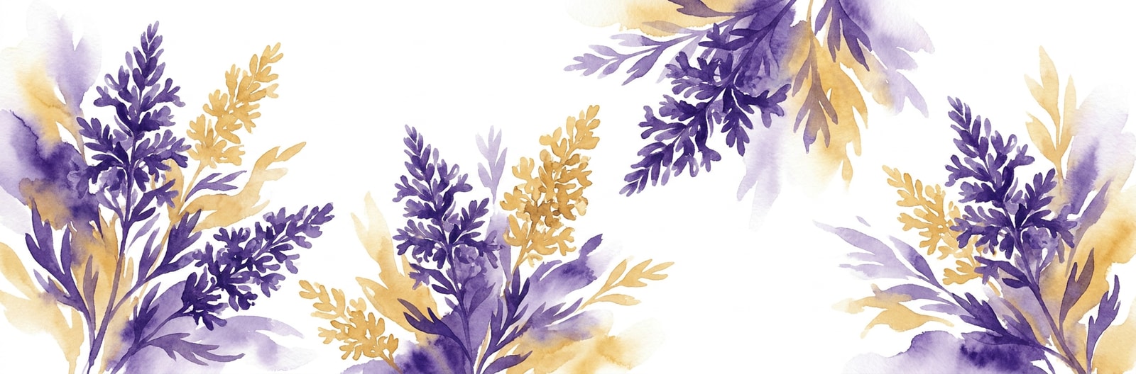 Nevada state flower illustration