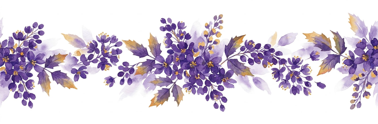 Oregon state flower illustration