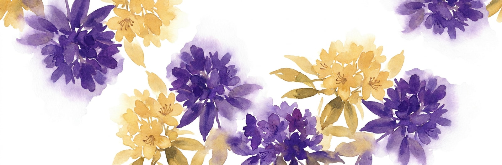 West Virginia state flower illustration