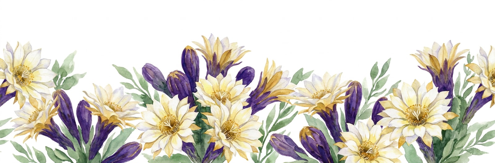Arizona state flower illustration